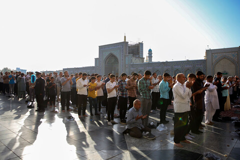 تصاویر/ عید قربان در حرم مطهر رضوی