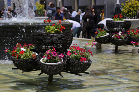 تصاویر/ حال و هوای حرم مطهر رضوی در دهه ولایت