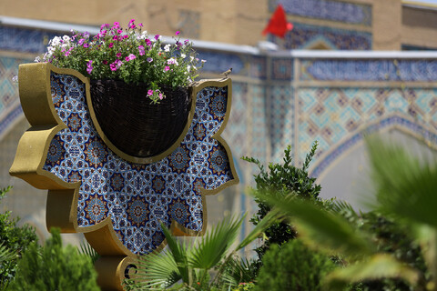 تصاویر/ حال و هوای حرم مطهر رضوی در دهه ولایت