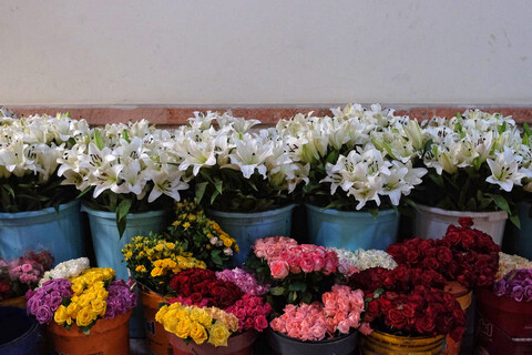 تصاویر/ حال و هوای حرم مطهر رضوی در دهه ولایت