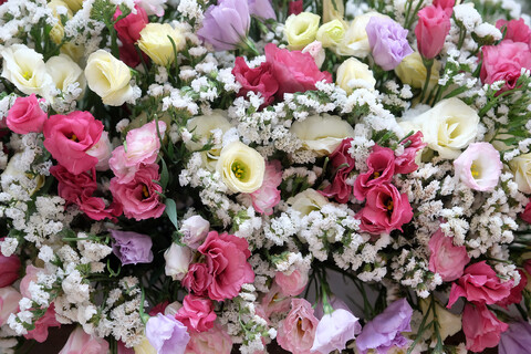 تصاویر/ حال و هوای حرم مطهر رضوی در دهه ولایت