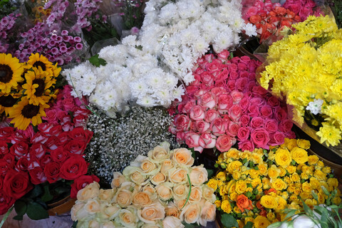 تصاویر/ حال و هوای حرم مطهر رضوی در دهه ولایت