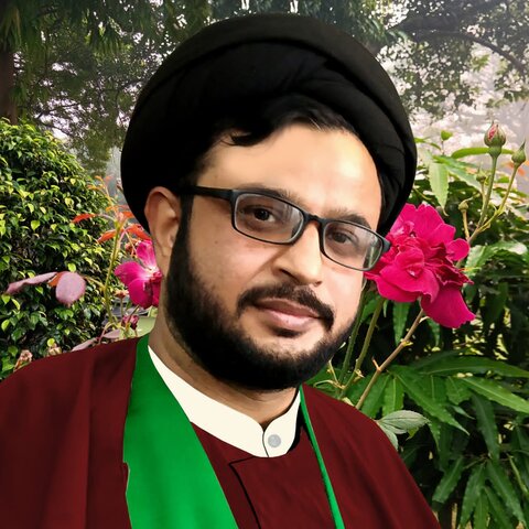 مولانا سید غافر رضوی