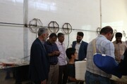تصاویر/ اطعام غدیر در کاشان