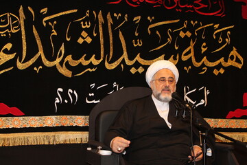 تصاویر/ مراسم عزاداری حضرت سید الشهدا (ع) در ایالت میشیگان آمریکا