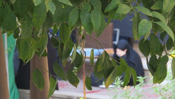 تصاویر| روز ششم مجلس عزای اباعبدالله الحسین علیه السلام در حوزه علمیه یزد