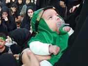 تصاویر/ ایران میں عالمی یوم علی اصغر علیہ السلام کی تصویری جھلکیاں