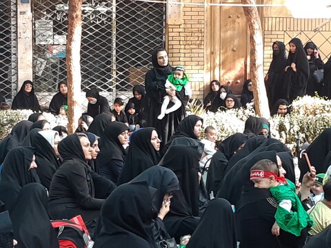 تصاویر:همایش شیرخوارگان حسینی هیئت شاهزاده علی اصغر میدان کمال الملک کاشان