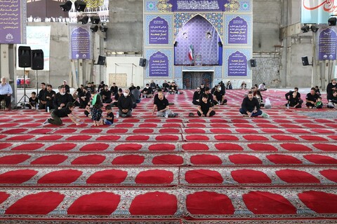 تصاویر/ همایش شیرخوارگان حسینی در سمنان