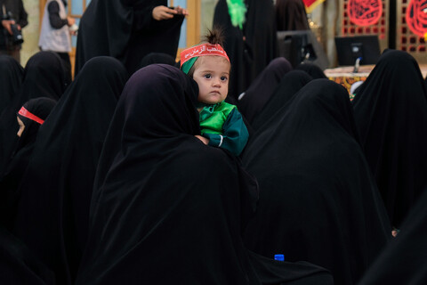 تصاویر/ محفل شیرخوارگان حسینی در حرم مطهر رضوی