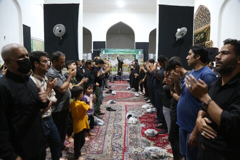 تصاویر/ عزاداری هئیت حضرت ابوالفضل(ع) لر زبان های مقیم قم