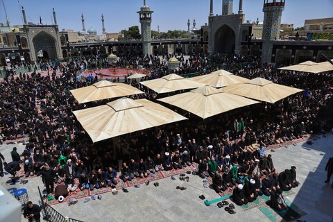 تصاویر/نماز ظهر عاشورا در حرم کریمه اهل بیت(ع)