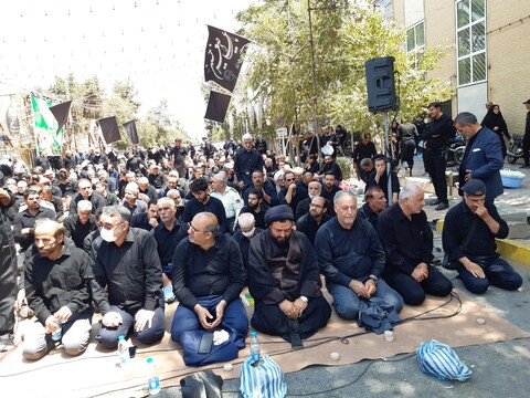 تصاویر:اقامه نماز ظهر عاشورا توسط نماینده ولی فقیه درکاشان
