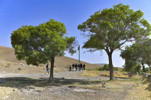 نخل‌گردانی در روستای تاریخی هزاوه اراک