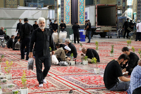 تصاویر/ میزبانی از عزادارن حسینی در حرم مطهر رضوی