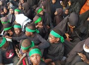 नाइजीरिया में अज़ादारों पर हमला, शेख ज़कज़की के भतीजे सहित 7 लोग शहीद