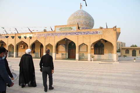 عکس| زیارت امامزادگان بوشهر توسط نماینده ولی فقیه در استان