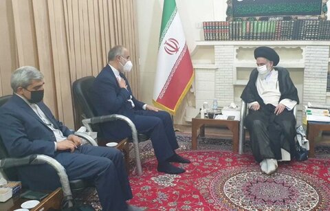 آیت الله حسینی بوشهری در دیدار با سخنگوی وزارت امور خارجه
