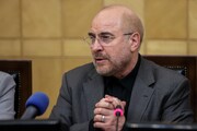 تسلیت رئیس مجلس شورای اسلامی به بیت شهید مطهری