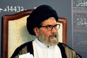 غیر قانونی تارکین کو ڈیپورٹ کرنے کی مدت بڑھائی جائے، علامہ ساجد نقوی
