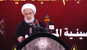 الشيخ الكربلائي: قافلة الاغاثة المتوجهة الى سوريا حسينية مرجعية وطنية خالصة