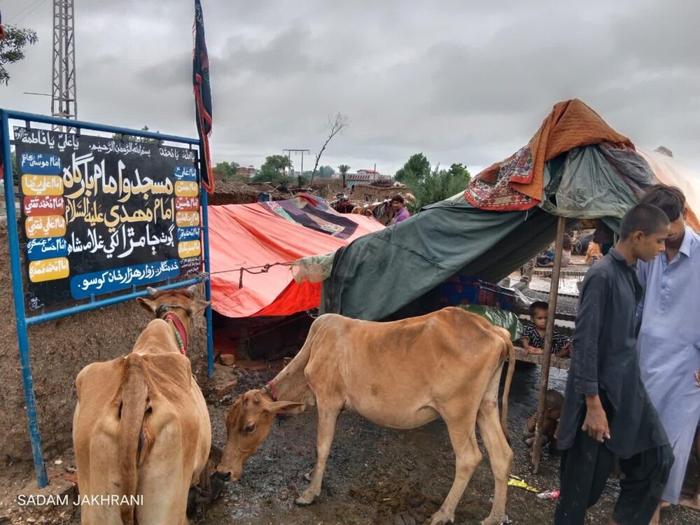 ڈومکی، شکارپور سیلاب متاثرین کا دورہ