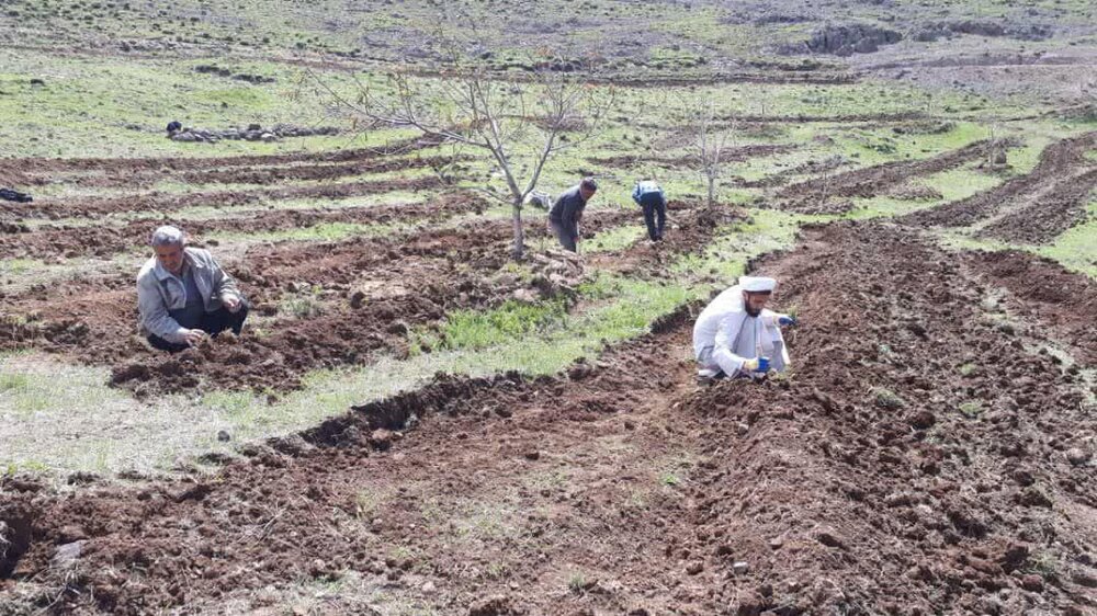 تلاش های ۱۵ ساله روحانی روستای چنار | از جایزه برای ترک سیگار ساخت مسکن نیازمندان