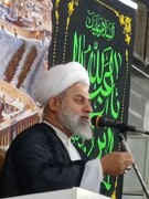 इमाम हुसैन (अ) की महानता केवल अल्लाह और मासूमीन (अ) जानते है