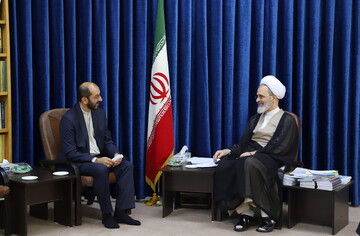 تصاویر/ دیدار رئیس سازمان دینی و متولی حسینیه فاطمیه مسکو با آیت‌الله اعرافی