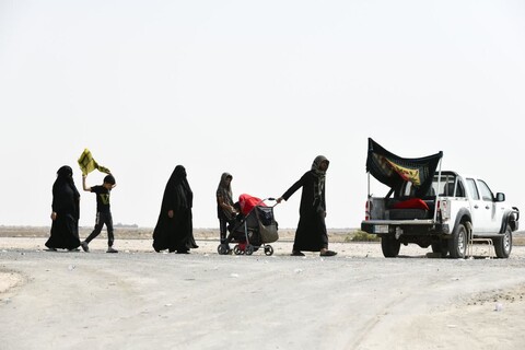تصاویر/ پیاده روی اربعین حسینی در منطقه سماوه عراق