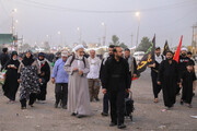امام جمعه قزوین در راهپیمایی عظیم نجف به کربلا + عکس