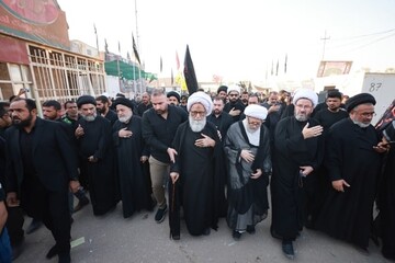 تصاویر/ حضور آیت‌الله بشیر نجفی در پیاده‌روی اربعین حسینی