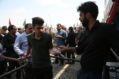 تصاویر / خدمات رسانی موکب های ایرانی به زائران اربعین