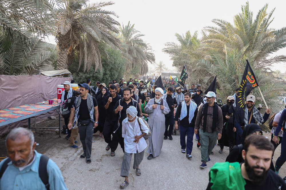 حضور امام جمعه قزوین در راهپیمایی عظیم نجف به کربلا + عکس