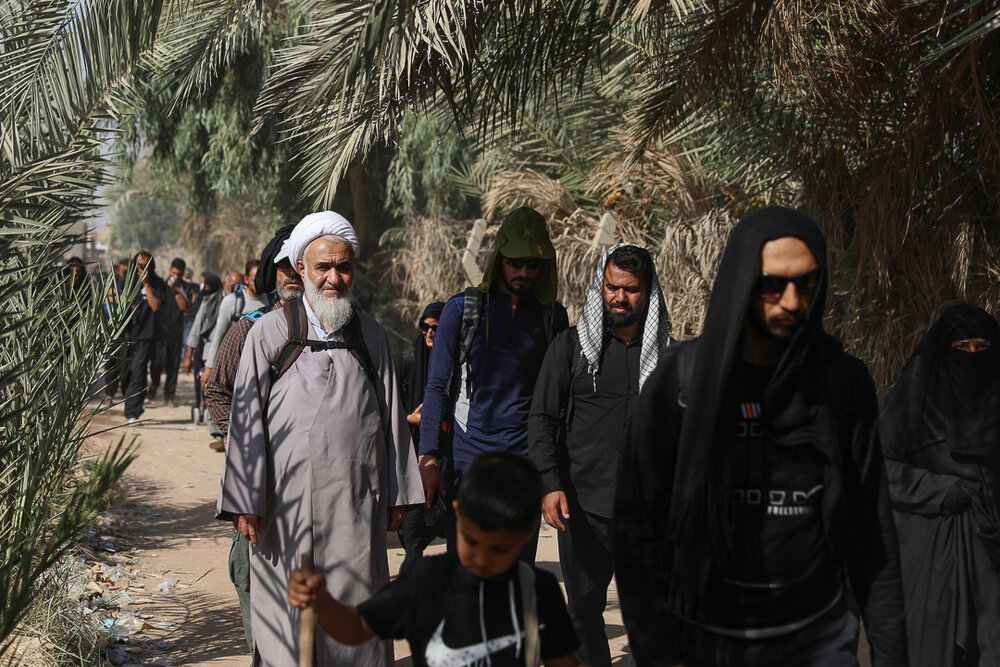 حضور امام جمعه قزوین در راهپیمایی عظیم نجف به کربلا + عکس