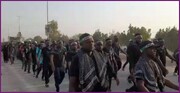 فیلم |  دسته عزاداری شیعیان نیجریه در راهپیمایی بزرگ اربعین