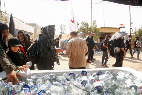 تصاویر/ توزیع آب آشامیدنی و یخ بین مواکب اربعین حسینی در عراق