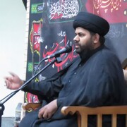 اربعین امام حسین (ع) جذبہ عشق کو ظاہر کرنے کا دن ہے، مولانا سید علی جعفر شمسی