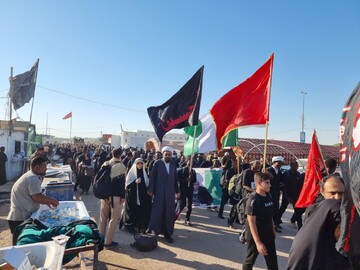 پیاده روی اربعین، ظرفیت بزرگی در راستای تقویت همگرایی اسلامی و انسانی است