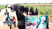 اربعین مارچ؛ نائجیریا میں لبیک یا حسین (ع) کی گونج +ویڈیو