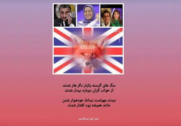 شعر | دیدند مهیاست بساط خونخوار شدن / مانند همیشه زود کفتار شدند