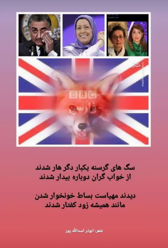 شعر | دیدند مهیاست بساط خونخوار شدن / مانند همیشه زود کفتار شدند