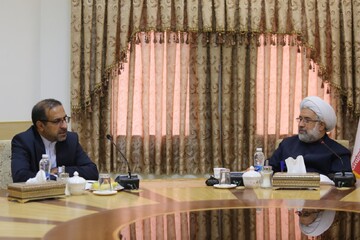 دیدار سفیر جمهوری اسلامی ایران در هند با رئیس جامعةالمصطفی