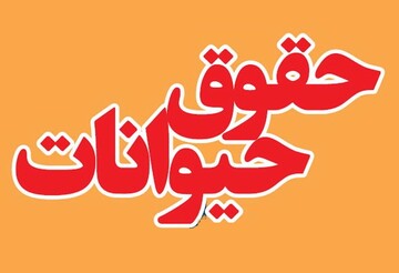 حدیث روز | حقوق حیوانات