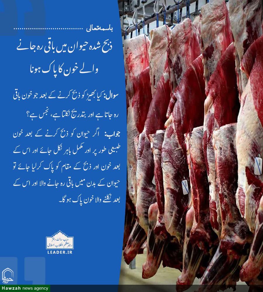 احکام شرعی:ذبح شدہ حیوان میں باقی رہ جانے والے خون کا پاک ہونا