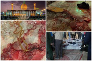 ائمه جمعه و روحانیون استان بوشهر حادثه تروریستی حرم شاهچراغ را محکوم کردند