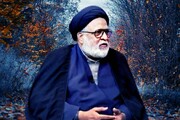 ईरान के शिराज शहर में हुए आतंकी हमले पर मौलाना सैयद सफी हैदर जैदी का निंदा बयान