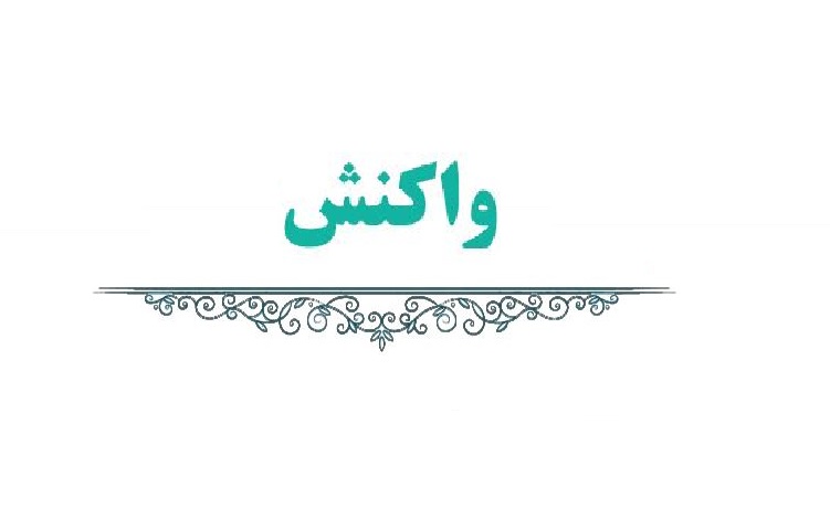 جمعی از مطرودین حوزه، جای جلّاد و شهید را عوض کرده‌اند/ تحلیل غلط و ذلیلانه به خورد جامعه ندهید