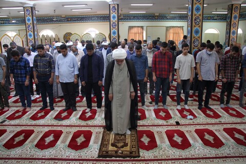 عکس/ دیدار صمیمی امام جمعه بوشهر با دانشجویان دانشگاه خلیج فارس