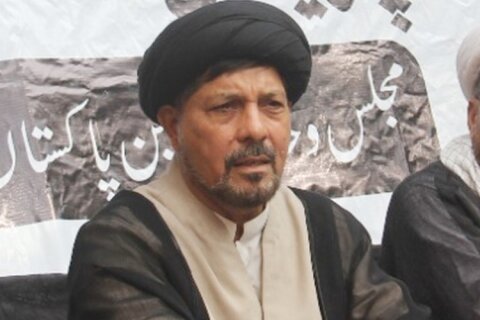 علامہ باقر عباس زیدی